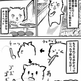 『忘れられない！今だに求めてしまうあの謎の味！』の画像