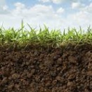 「壌（壤）」のはなし