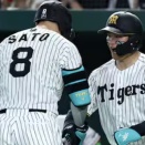 森下翔太、阪神選手の集合写真にも姿を見せず