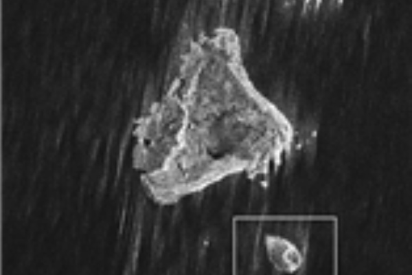 ライフ0 2chまとめ 地震