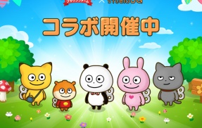 【LINE ブラウンファーム】『スタジオUG』とコラボレーション開始！