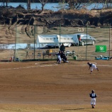『ベスト4出揃う サンケイスポーツセンター少年野球』の画像