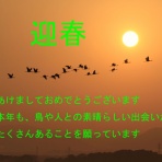 ヒロちゃんの花と鳥日記