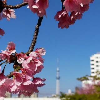 人生の長い午後