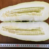 『植菜物語（2100回記念）（36）』の画像