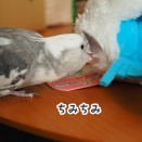 クスィーの幸せタイム