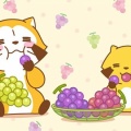 5月6日【水曜日】超超豪華ラインナップ営業日