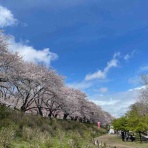 ひまじろうの日常