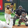 日ハム王柏融の理想型って元横浜の鈴木尚典だよな 	