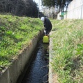 2025年4月17日　木くず破砕施設「あじさい」水路清掃、ゴミ拾い