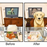ビフォア・アフター「犬を飼う前と飼った後」では生活や人間がこう変わる9つの例