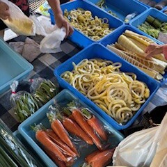 高知の旅➁