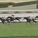 【競馬】ファンダム　次走は鞍上ルメールでオーシャンSへ