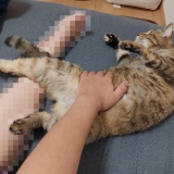 新幹線にて②