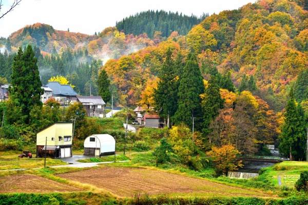 日本の原風景 日本の「原風景」を読む――危機の時代に