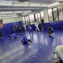 土曜日のキッズ柔術クラス、ヨガクラス、スパーリングクラス、フィットネスクラス、MMAクラス