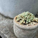ここに居ることが全て。