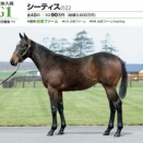 今日の出走馬 その2【今日の出走】【ディオデルマーレ】