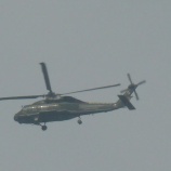 『ディズニーランド！』の画像