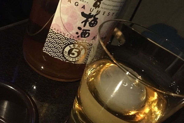 コースターで行く北陸の車中泊 コースターで