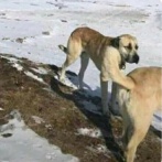 【脳がバグる】笑える奇跡の錯視画像、集めてみたｗｗｗ