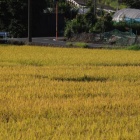 『Askar FMA135による2023年秋の気配　2023/09/15』の画像