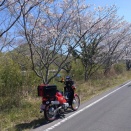 クロスカブで東讃地方へVOL1　「義民を祀る徳武神社、久森神社」