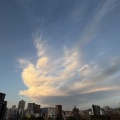 見上げる空に、奇跡の一枚。自由奔放な「雲の芸術」に心を奪われて