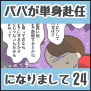 解決するとは思ってない【単身赴任24】