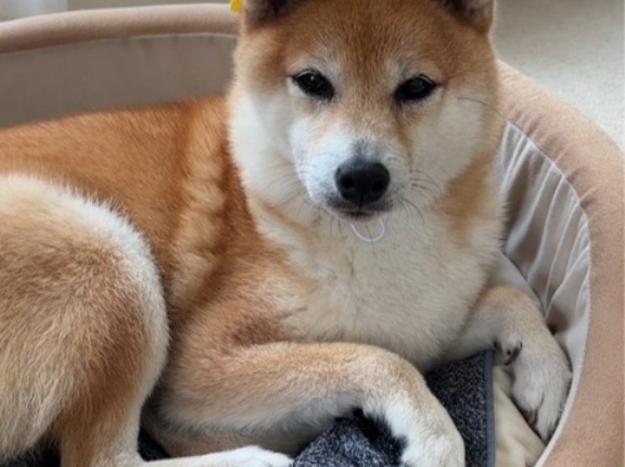 Ｏ次郎君の幸せ通信です。お久しぶり～❤️