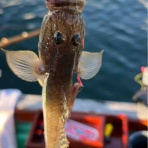 スーさんノート