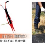 株式会社 サンエー