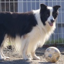 危険は冒さない