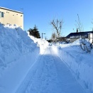 再び、乗っ取りの危機に晒される