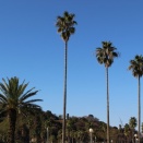 英語学習の道は長い５８