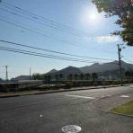 小笠原父島　オガツアーのブログ３