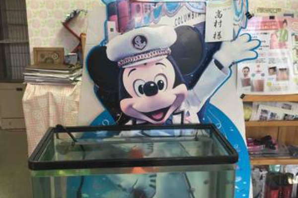 長野県上田市 女性のためのお顔そり専門店 ブライダル ぷしゅけ