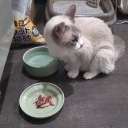 �٤��뿩���äơ������Ф�ͽ��������������äƻ��⤢�꾯���Ǥ���˵�Ƥ����褦���ʡ��Ƚ����������Ƶפ��֤�˲椬�Ȥ�ǭ��Ź��Ϣ�����Ƥߤޤ���(^_^)