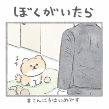 じゅんのいぬかわいいメモ - こんにちは、いぬです