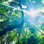 天使の卵アゲイン