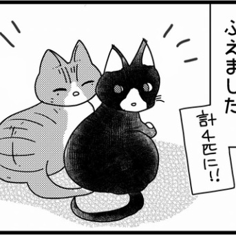 ゆずぽんさんちは６人家族「猫がふえた」