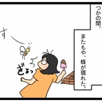 さらの絵日記