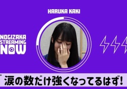 【画像】賀喜遥香「涙の数だけ強くなってるはず」←これいつのこと？
