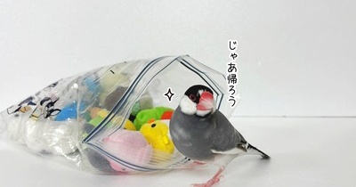 ムニュマムたちの元へ帰るセラ