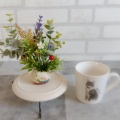是非飾りたい「猫モチーフ」かわいいインテリア　今月の作品たち
