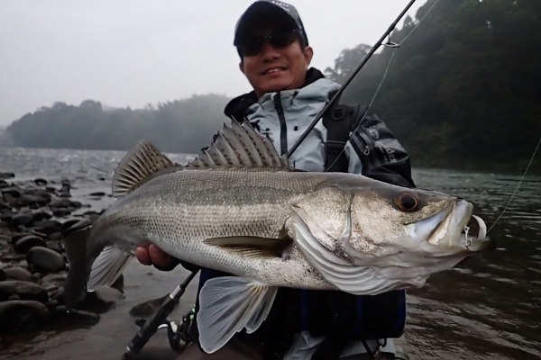 Tailwalk開発日記 シーバス