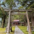 桜天満宮 積善寺 @国の天然記念物 桜石が眠る神秘の神社
