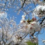 聖ヨゼフの園オフィシャルブログ