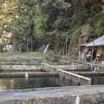 かるかんタイムズ