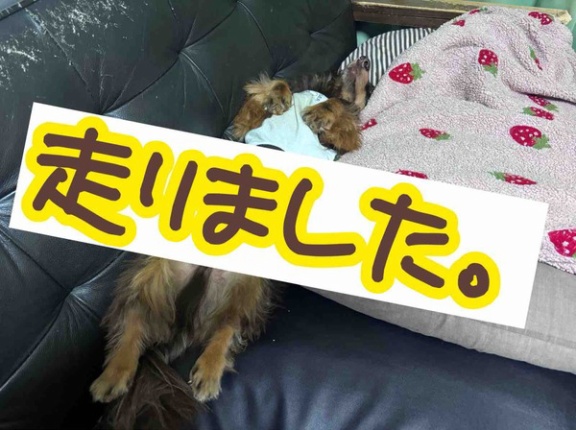 飲むヤツ走るヤツ。